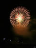 2009年 第４１回豊田おいでんまつり 花火大会 写真集 | 磯谷煙火店_メロディー花火