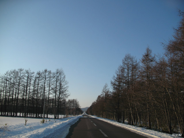雪景色 雪道 道路 北海道の道路 道東 中標津町 雪景色 雪道 道路 北海道の道路 道東 中標津町