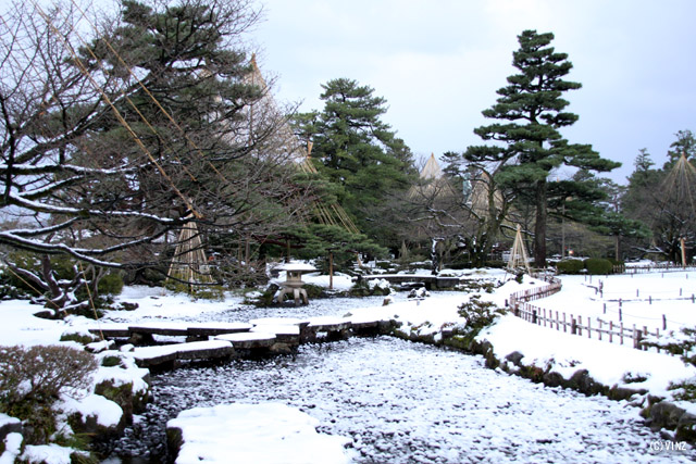 雪景色 冬 石川 金沢 兼六園 雪吊り 雪囲い 「雁行橋」 